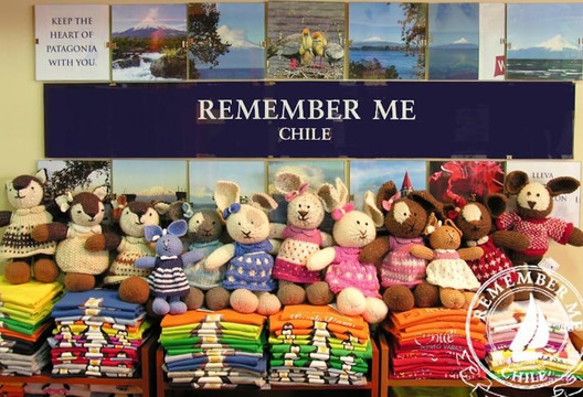 Remember Me Chile-巴拉斯港必去景点