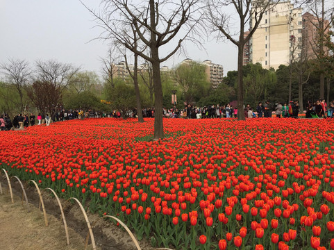 大宁灵石公园-上海市必去景点