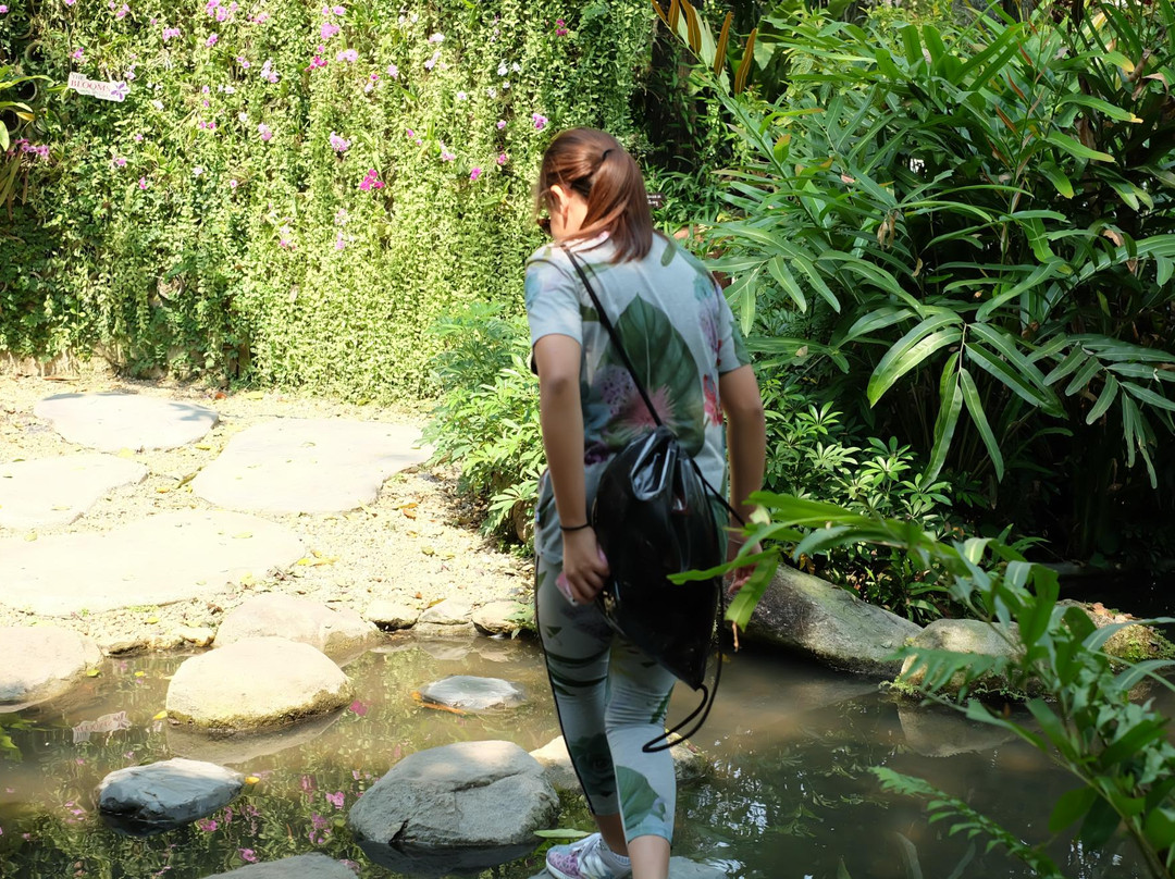 The Blooms Orchid Park景点图片