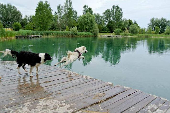 Agriturismo Ai due laghi del Verginese主图