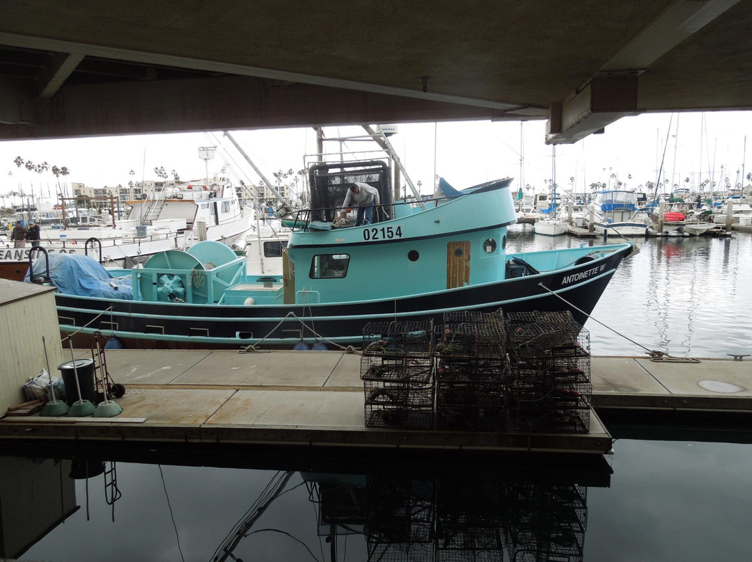 Oceanside Municipal Marina-欧申赛德必去景点