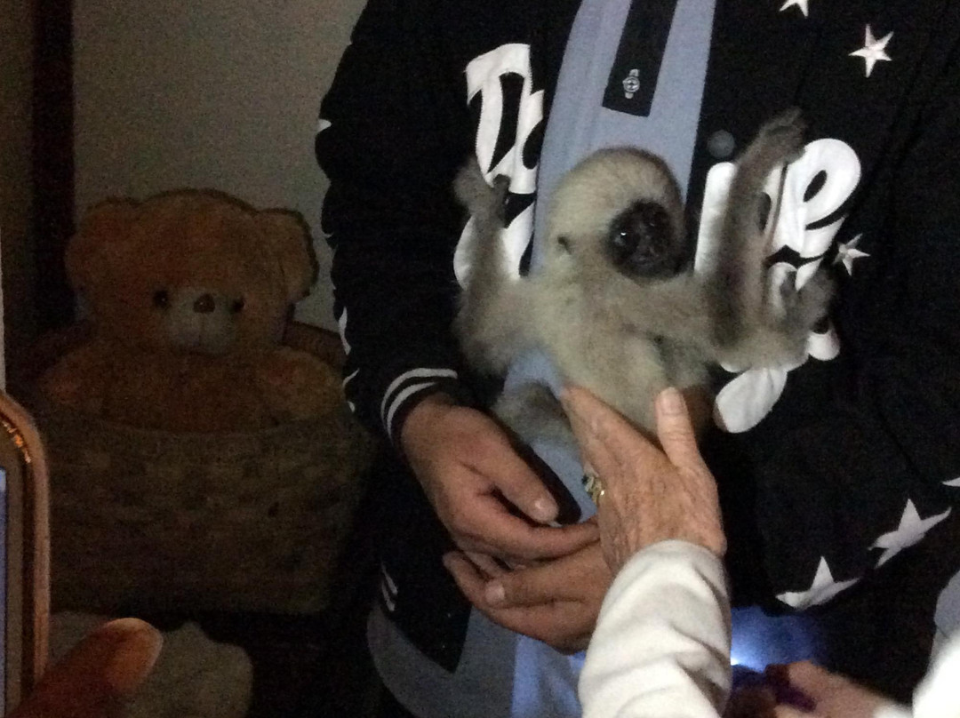 Hotel Mega Stars主图