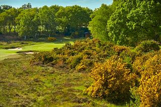 Woodbridge Golf Club-Woodbridge必去景点