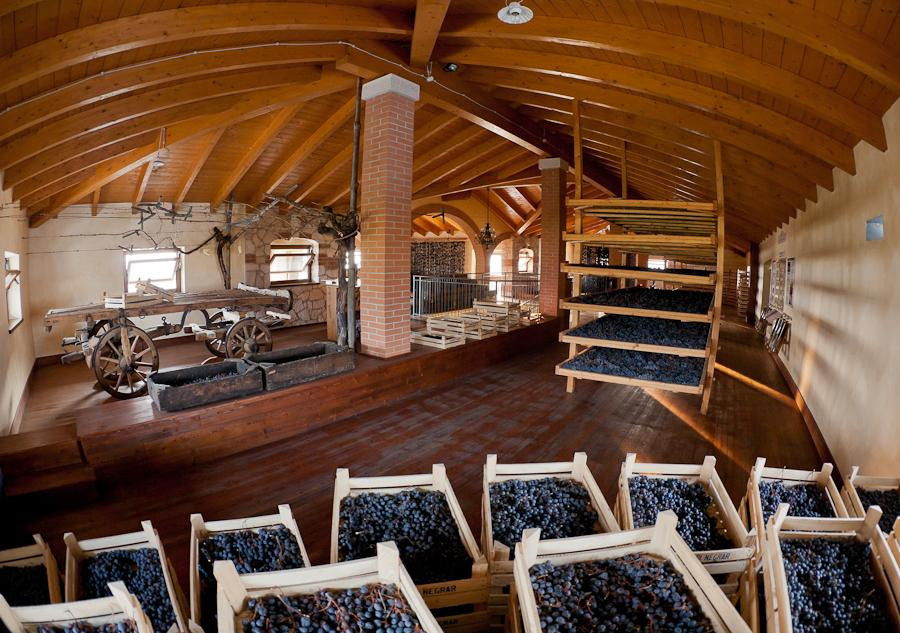Cantina Valpolicella Negrar-维罗纳必去景点