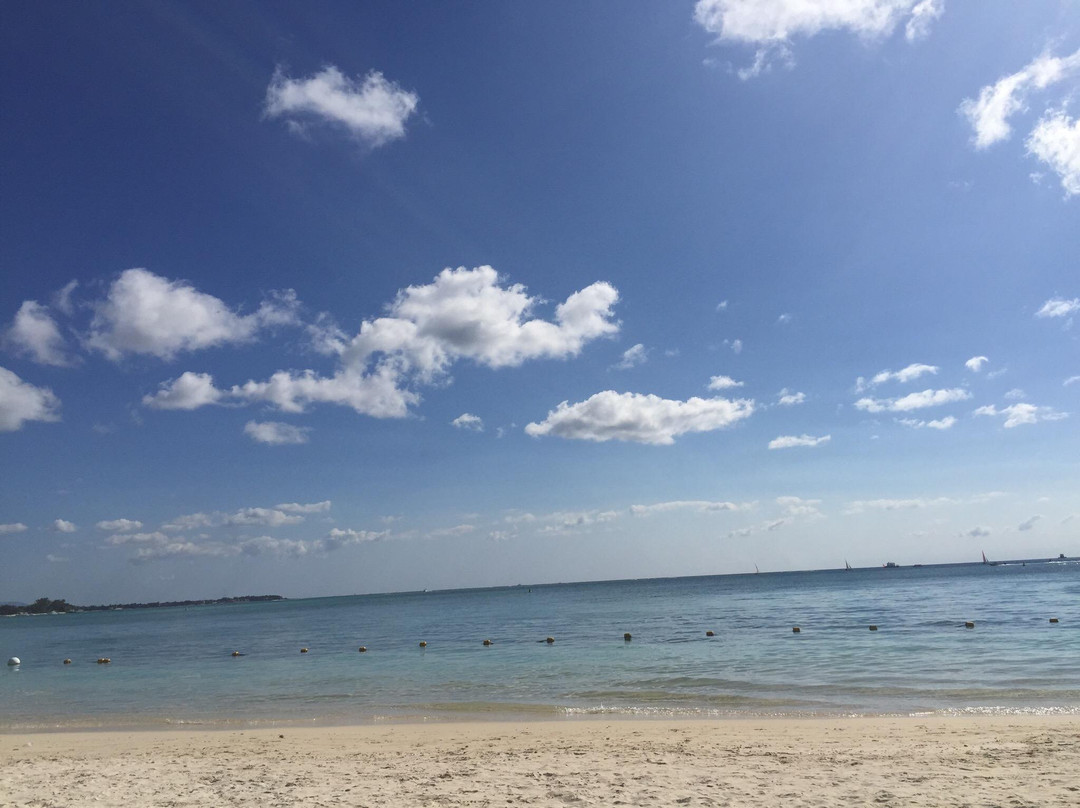蒙舒瓦西海滩景点图片