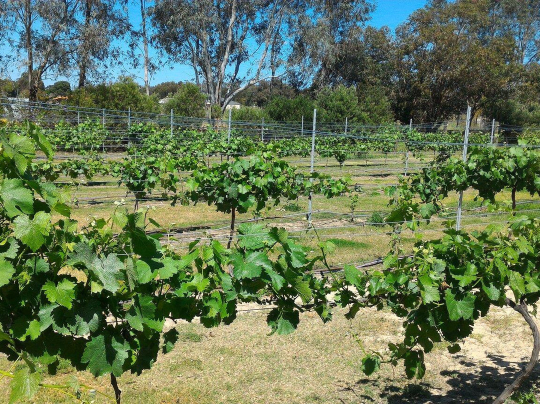 Coward and Black Winery - Margaret River Cellar Door景点图片