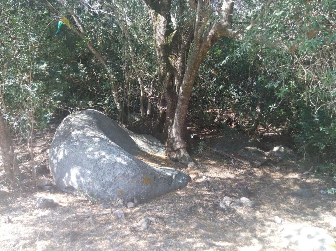 Castello di Baldu-Luogosanto必去景点