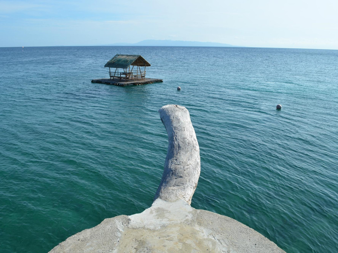 卡莫提斯飞鱼度假村主图