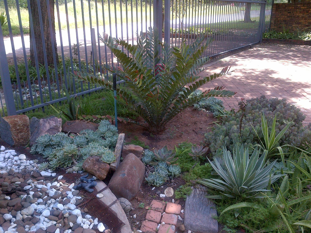 Gorgeous Gecko Guesthouse主图