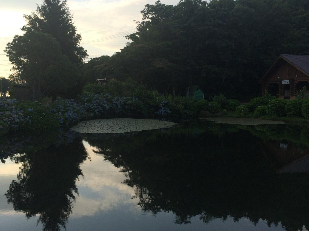 Hachi Highlands-养父市必去景点