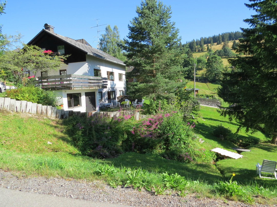 Menzenschwand-Hinterdorf酒店住宿-Ferienhaus Isele