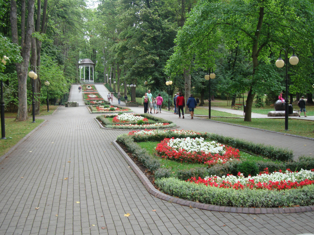 Park Zdrojowy景点图片