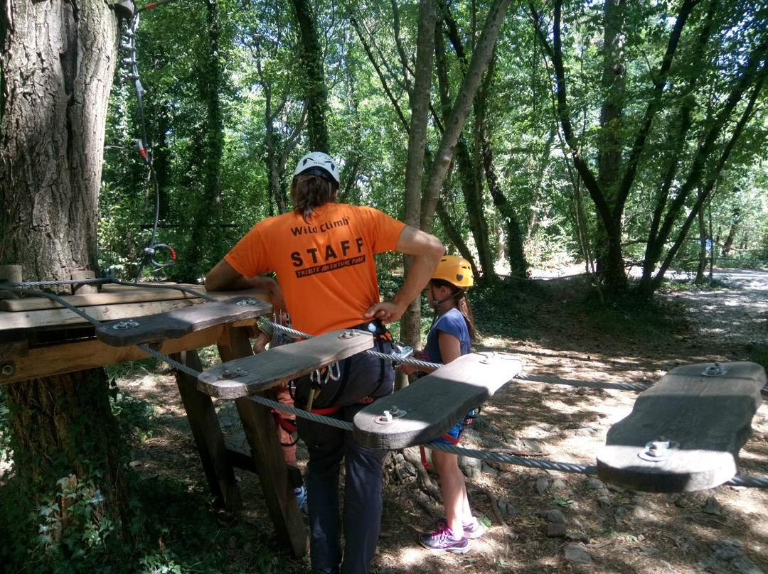 Trieste Adventure Park景点图片