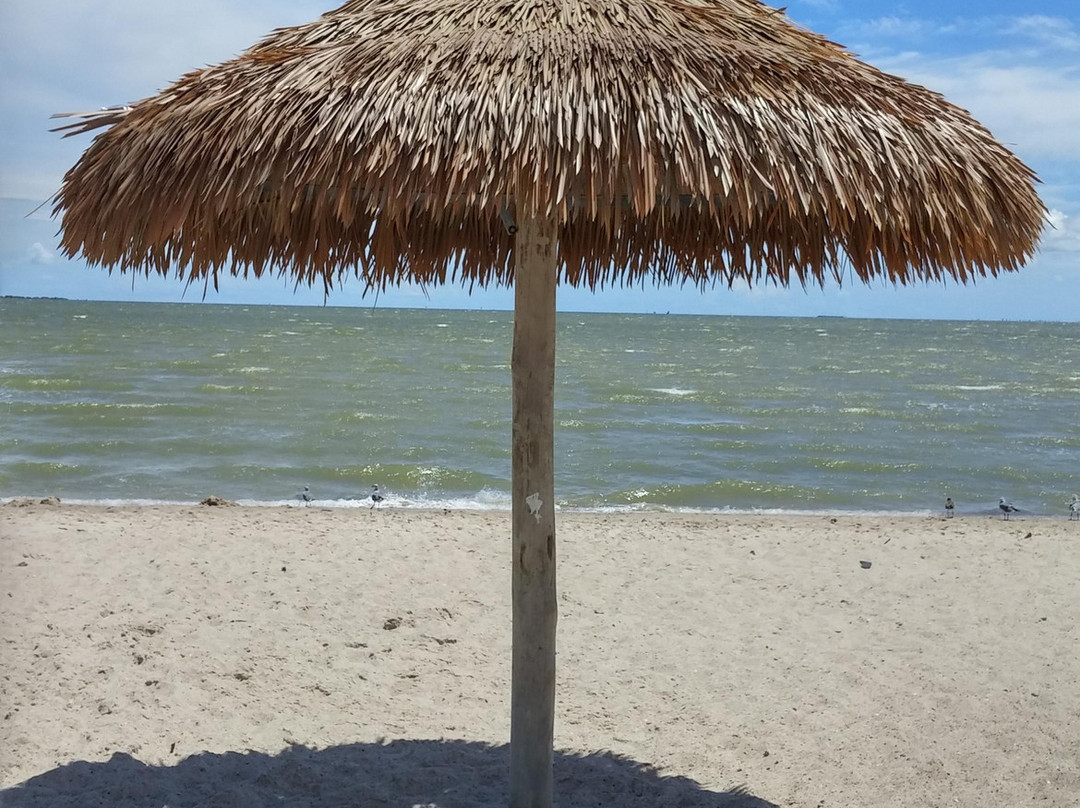 Lighthouse Beach-Port Lavaca必去景点