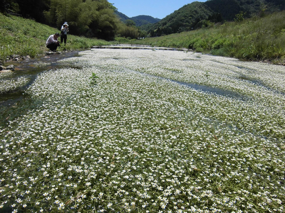 Baikamo Park-新温泉町必去景点