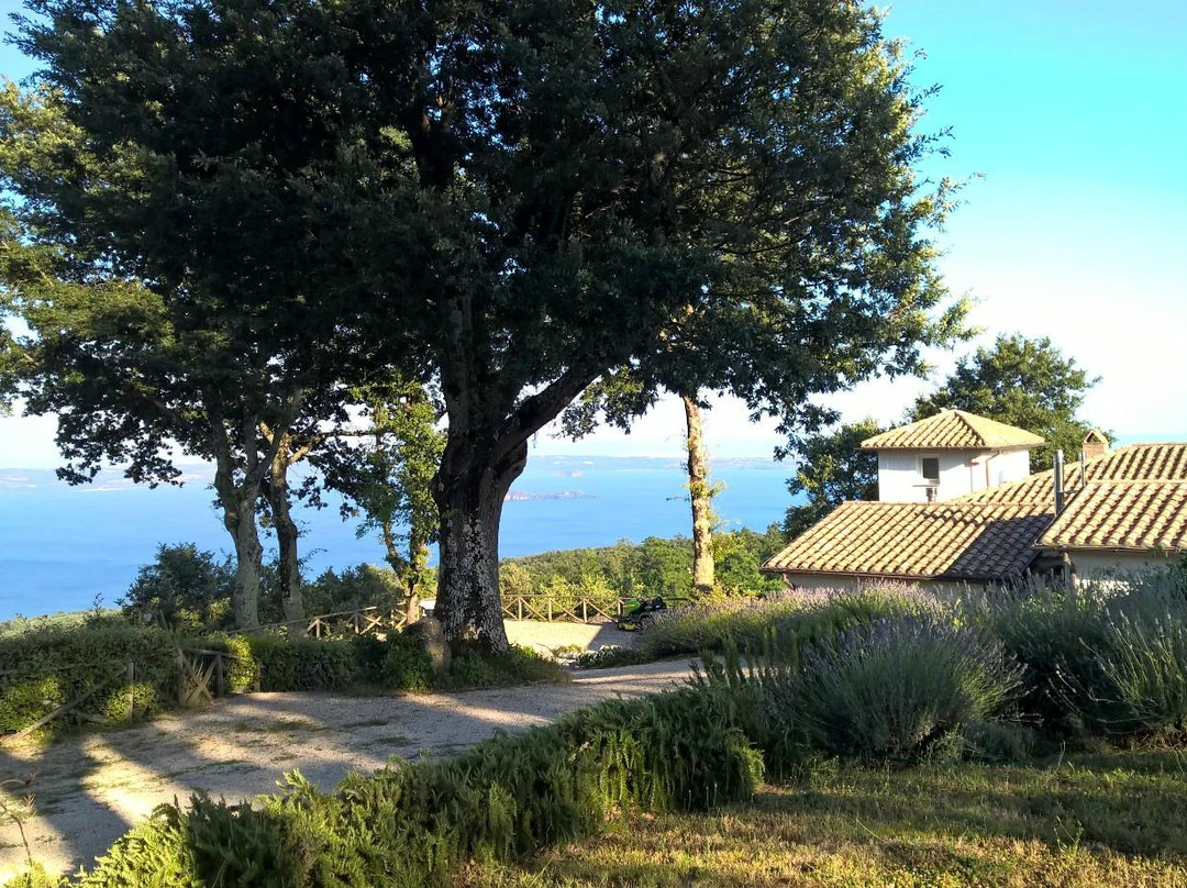 La Montagnola Retreat主图