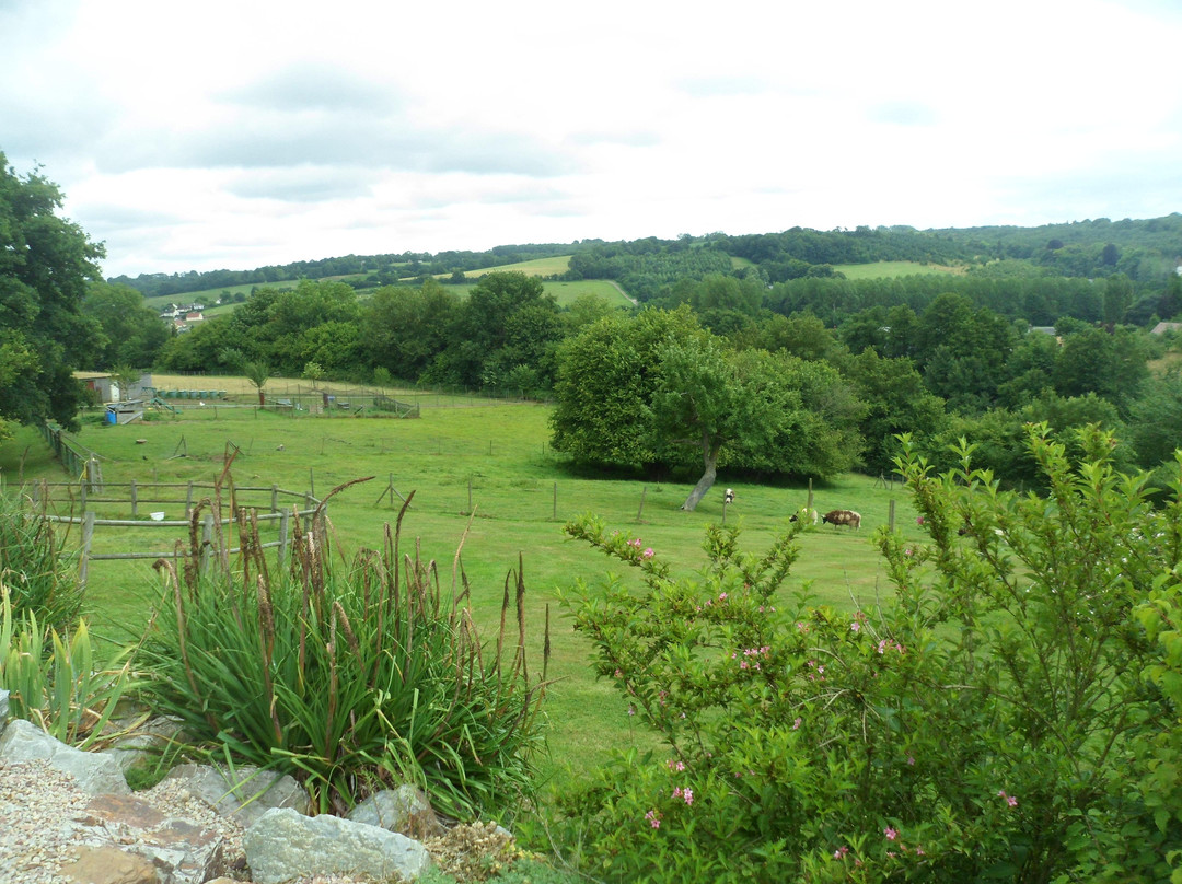Domaine du Martinaa