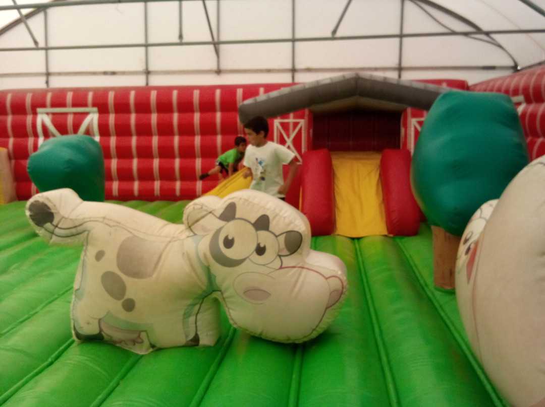 Blackwater Open Farm-Blackwater必去景点