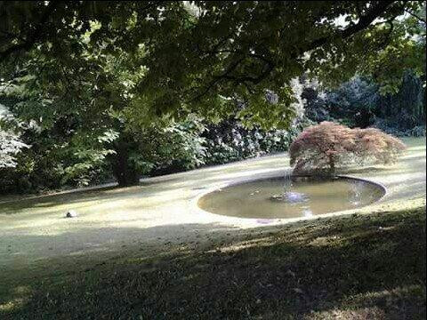 Villa Mylius Vigoni-梅纳焦必去景点