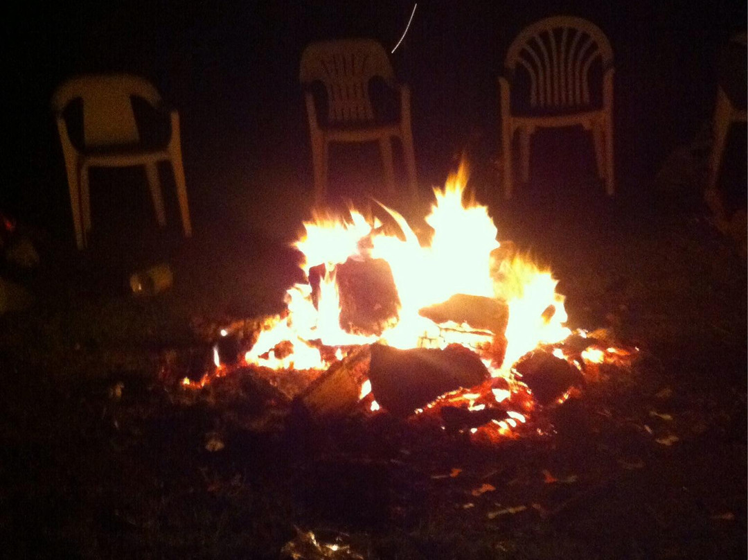 Ashcombe Shooting Ground-Ashcombe必去景点