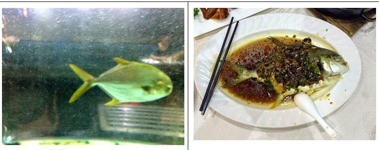 台山高业大酒店主图