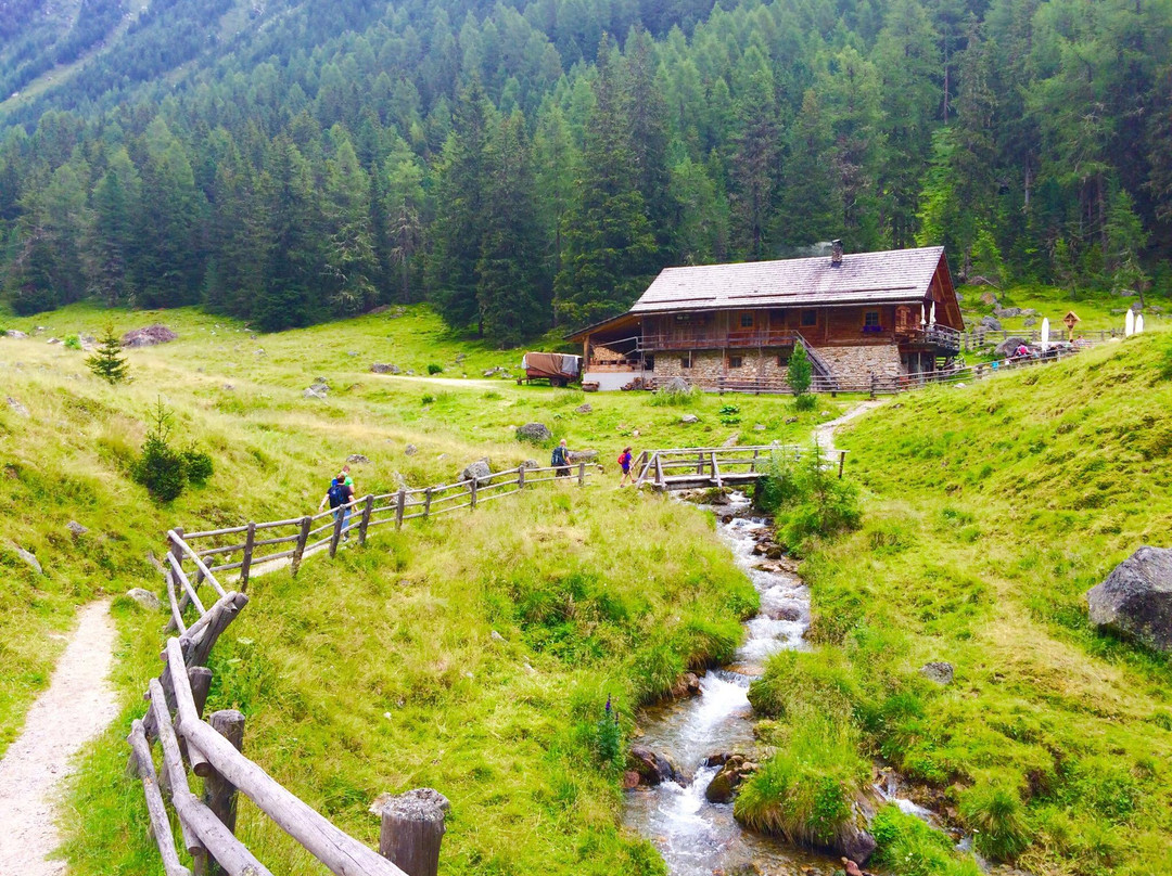 LercherAlm Oberwielenbach景点图片