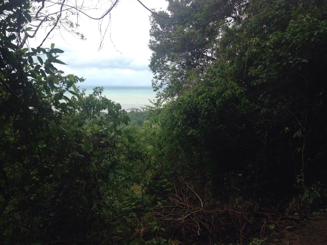 白马市国家公园-白马必去景点