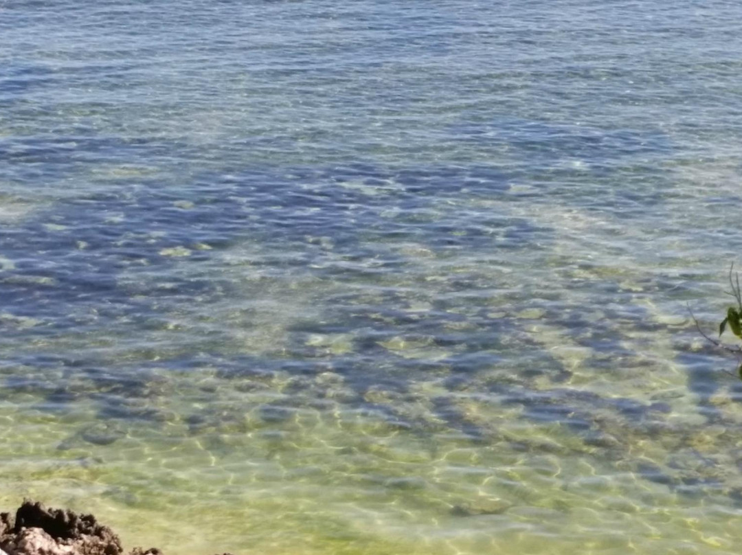 G-Land-巴纽旺宣必去景点