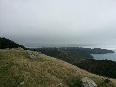 West Wind Recreation Area-惠灵顿必去景点