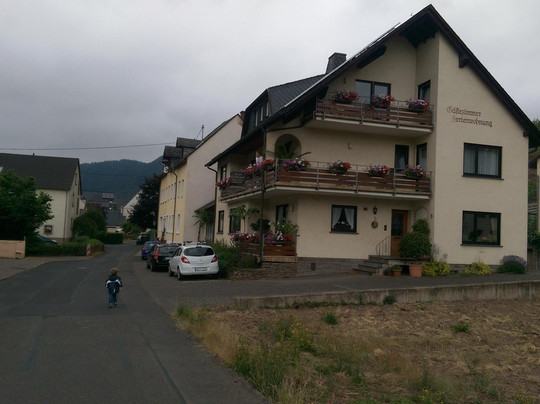 Bremm酒店住宿-Weingut Probst