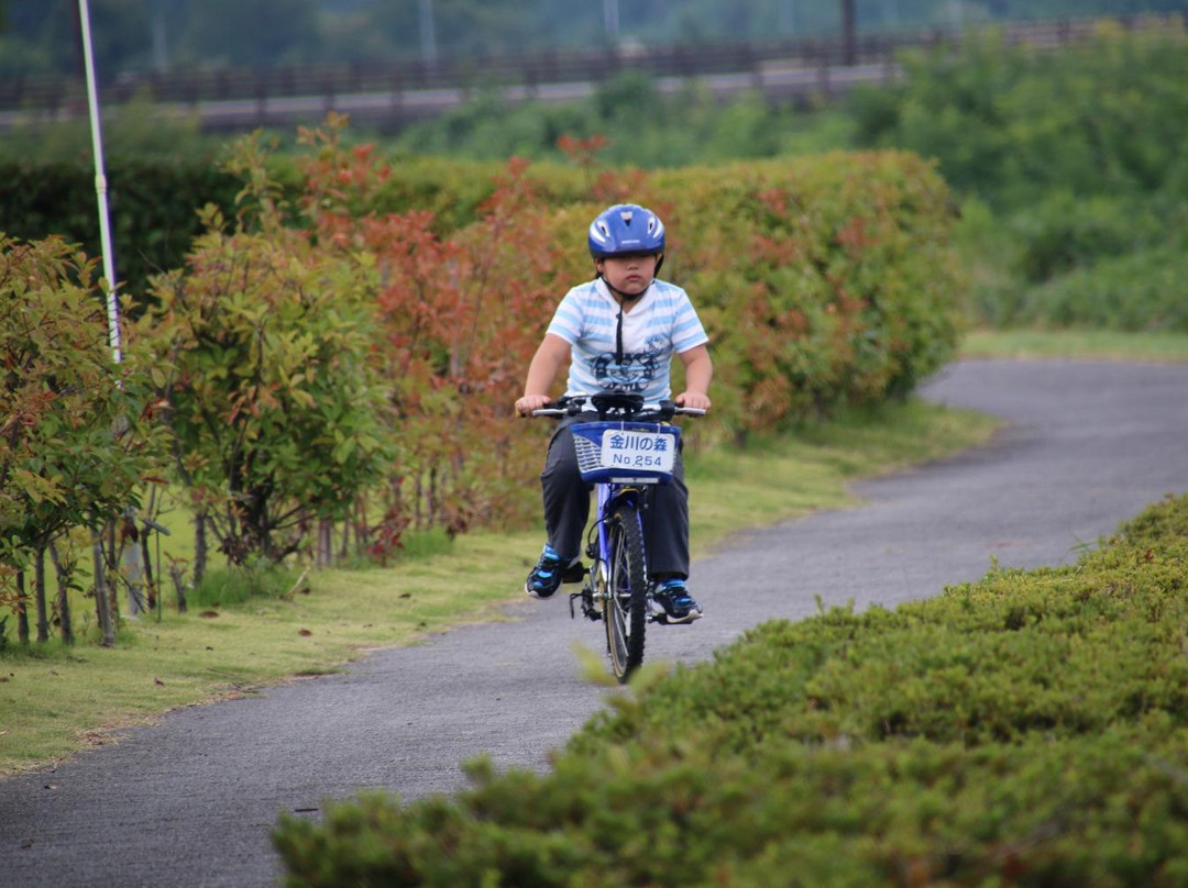 Yamanashi Prefecture Forest Park Kanegawa no Mori景点图片