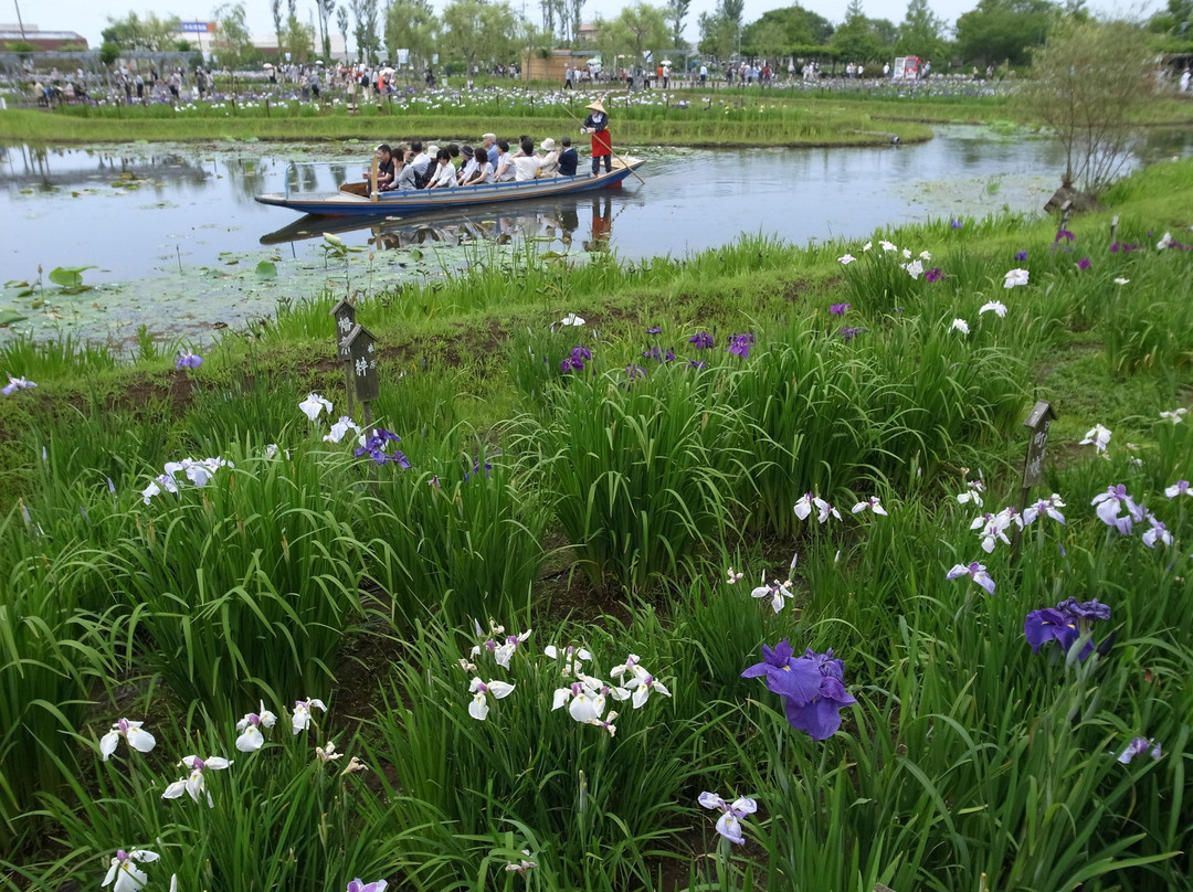 Suigo Sawara Ayame Park景点图片