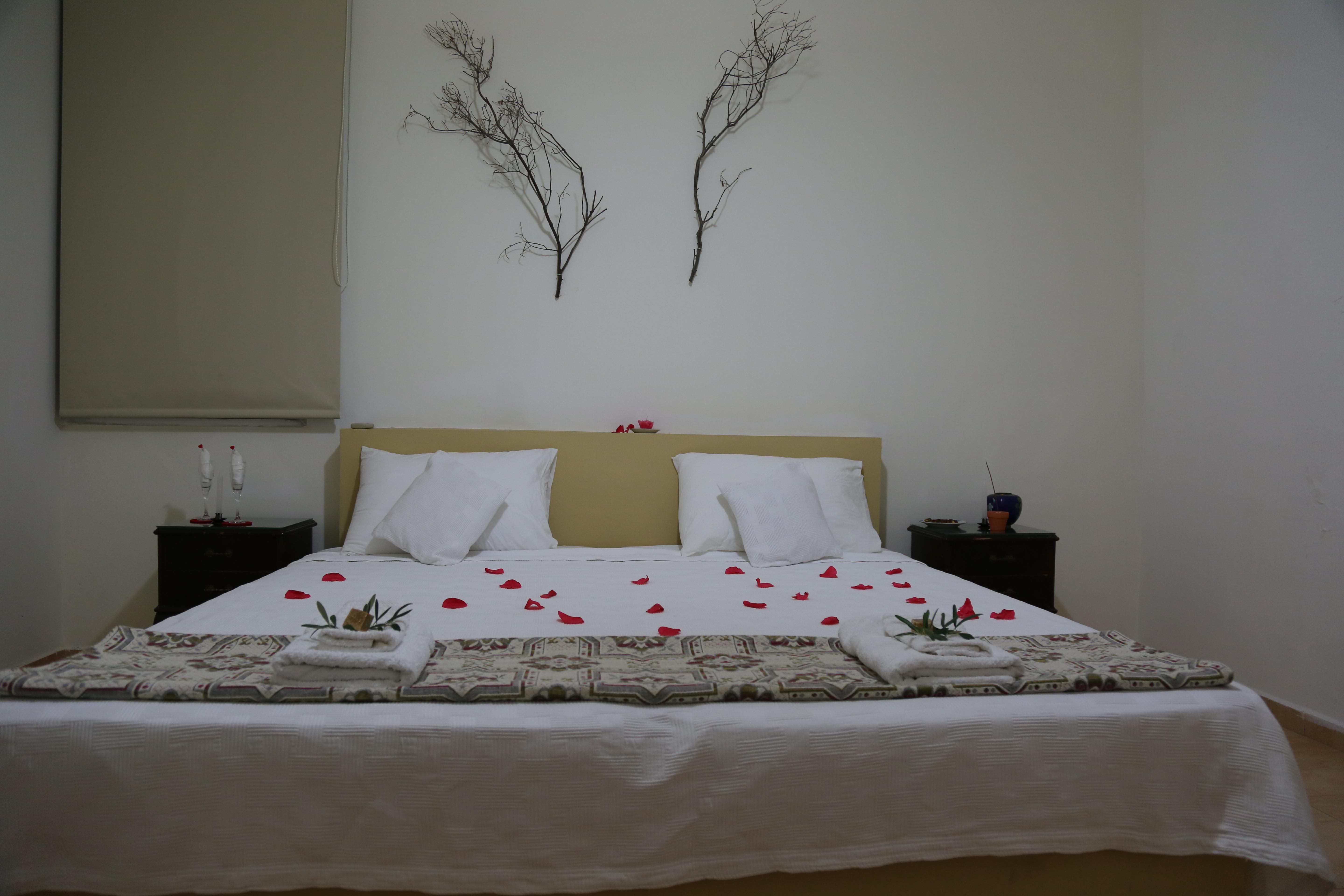 TAFLA B&B-官方