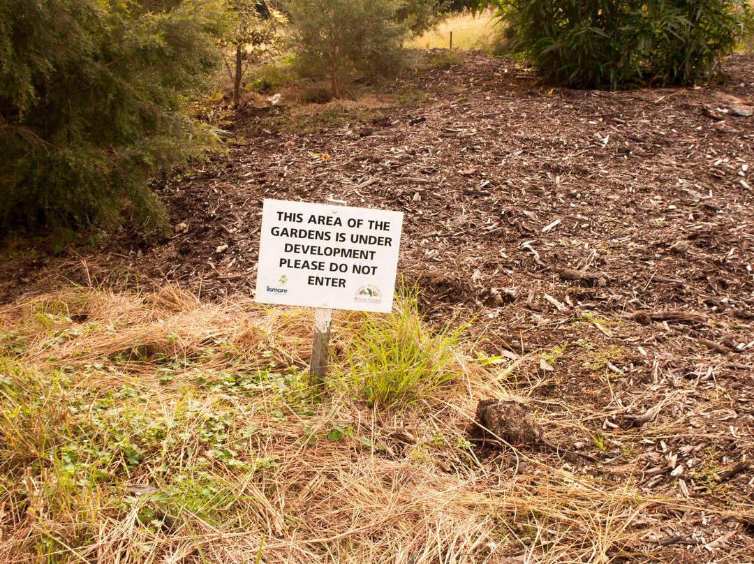 Lismore Rainforest Botanic Gardens-利斯莫尔必去景点