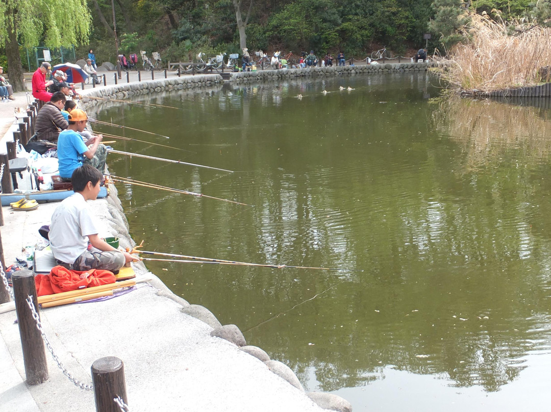 Akatsuka Tameike Park-板桥区必去景点