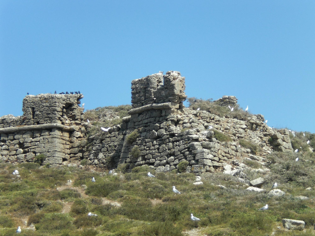 Ilha do Pessegueiro景点图片