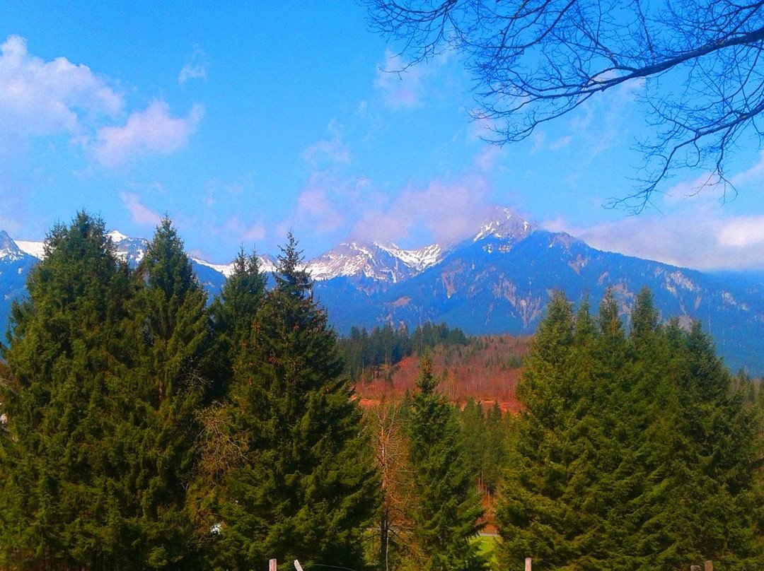 Hotel Martinshof主图