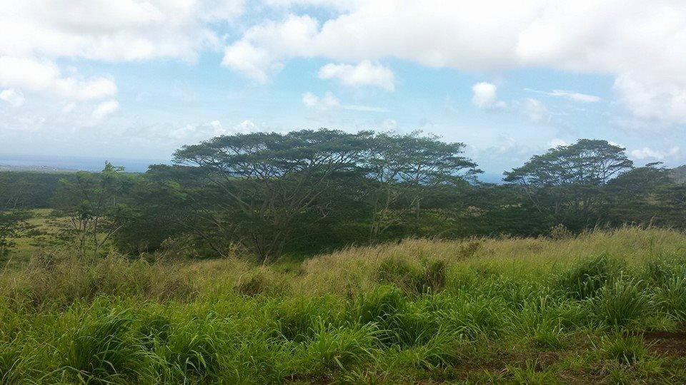 Kalani Kauai-卡拉西奥必去景点