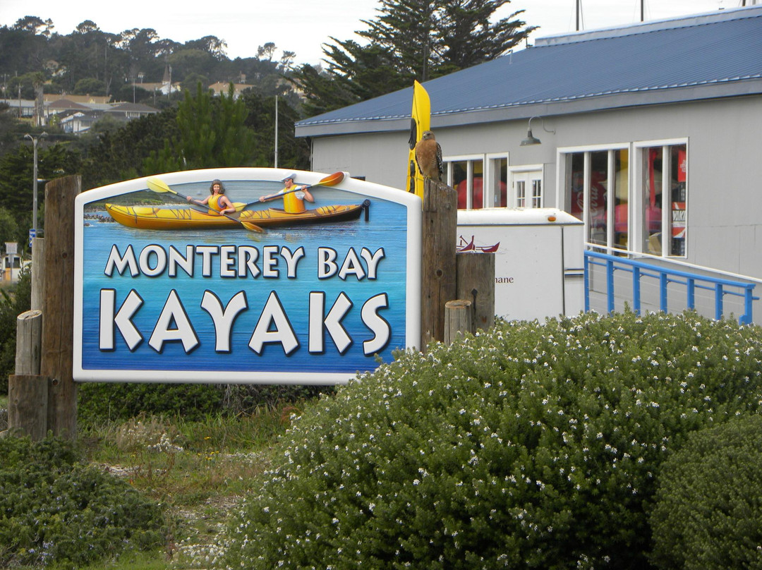 Monterey Bay Kayaks-蒙特雷必去景点