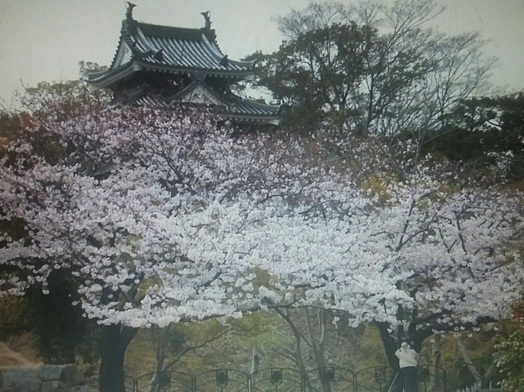 Shoro in Saifukuji Temple-西尾市必去景点