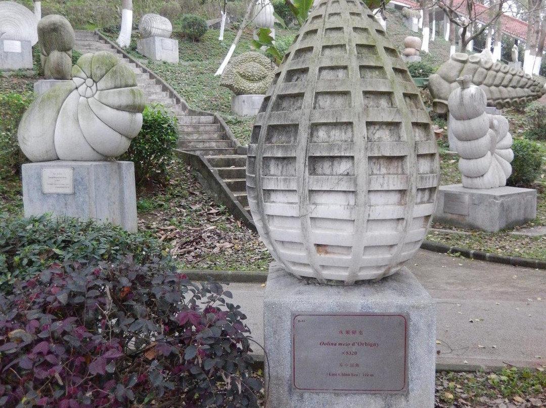 Foraminifera Sculpture Park-中山市必去景点