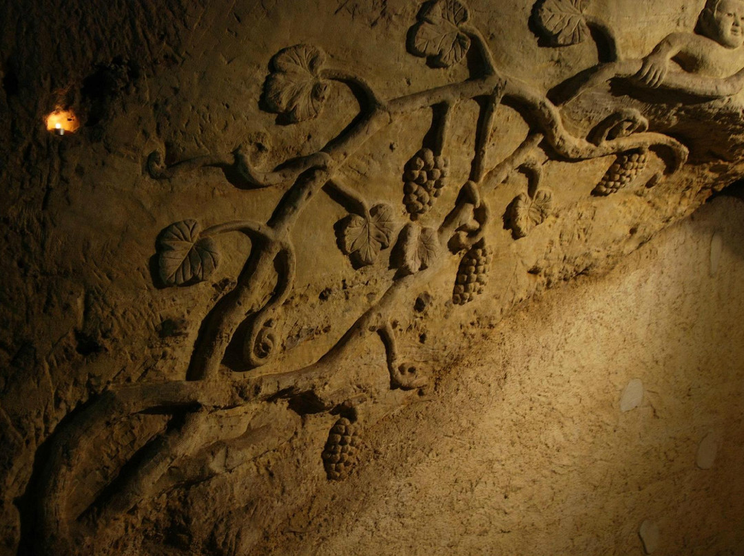 Domaine de la Châtaigneraie景点图片
