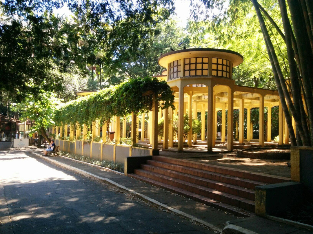 Parque Da Água Branca-圣保罗必去景点