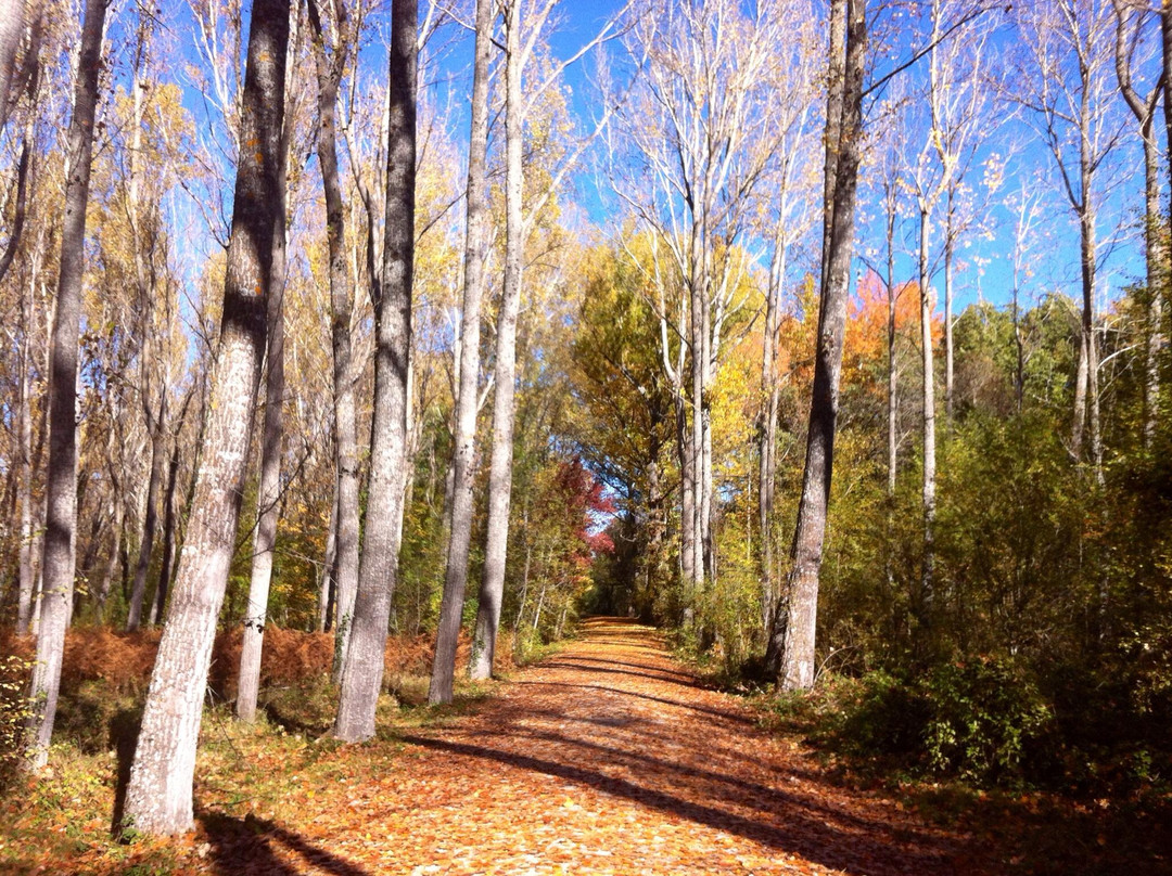 Bosque Finlandes-Rascafria必去景点