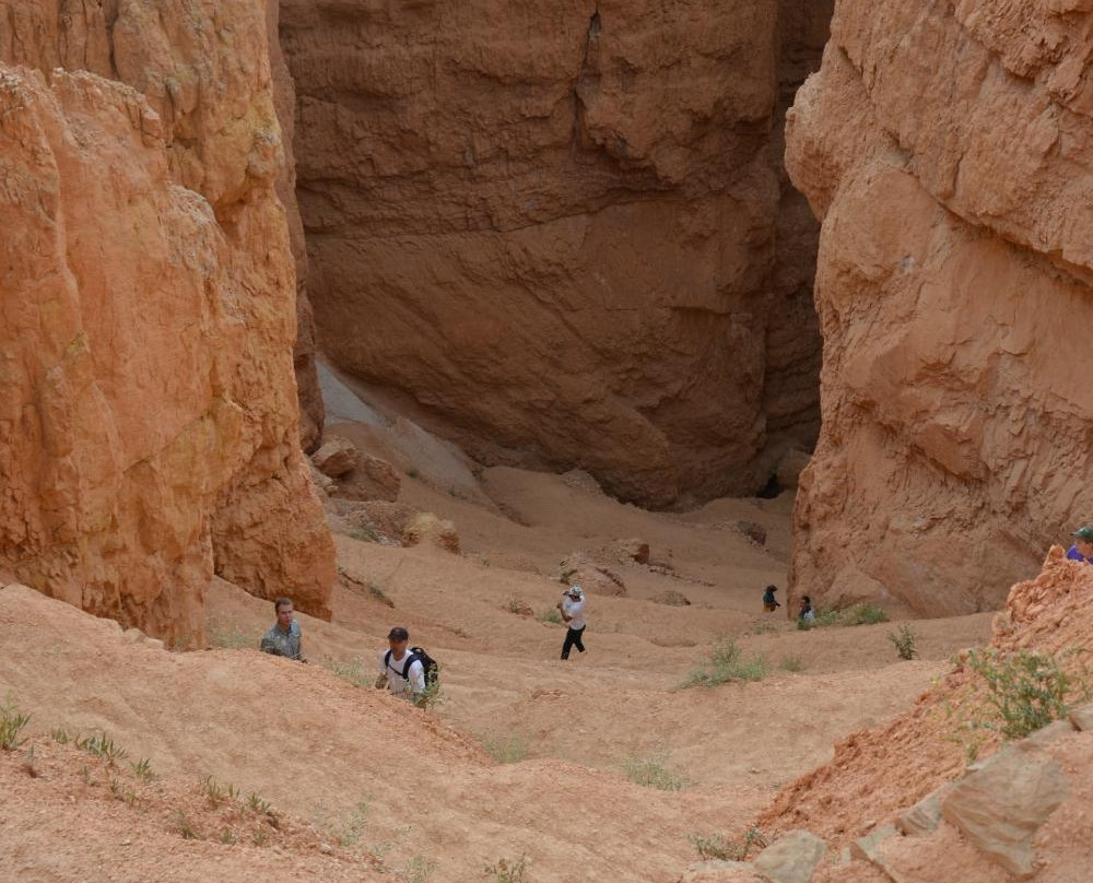 Zion National Park Rides-特罗皮克必去景点