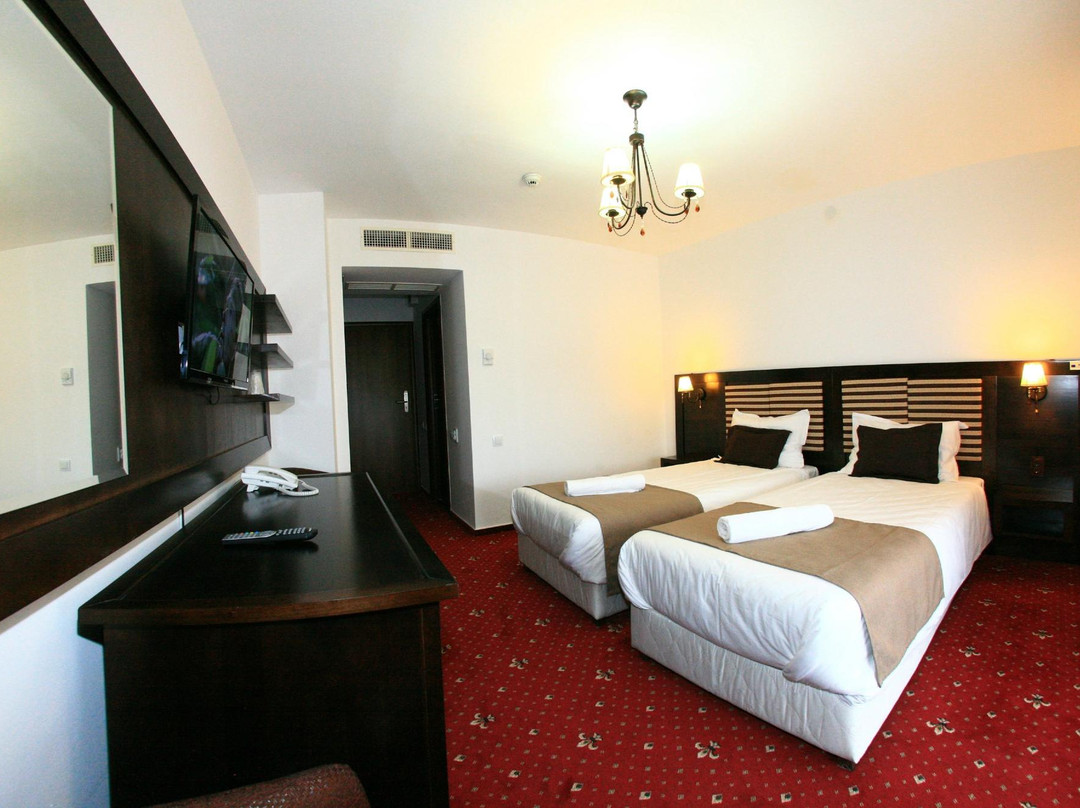 Pensiunea Clasic主图