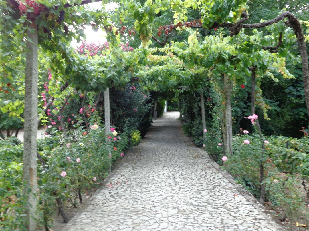 Quinta da Casa Amarela景点图片