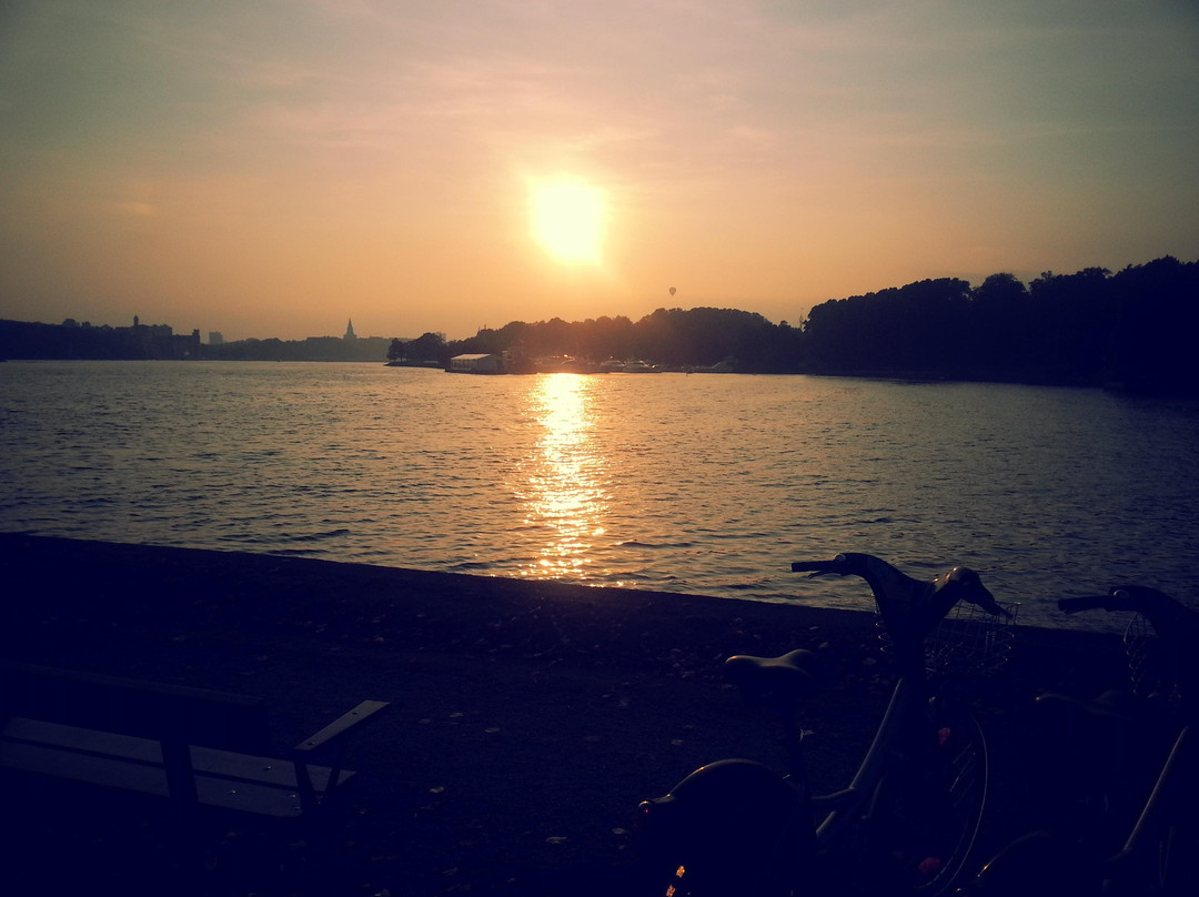 Djurgårdscykeln