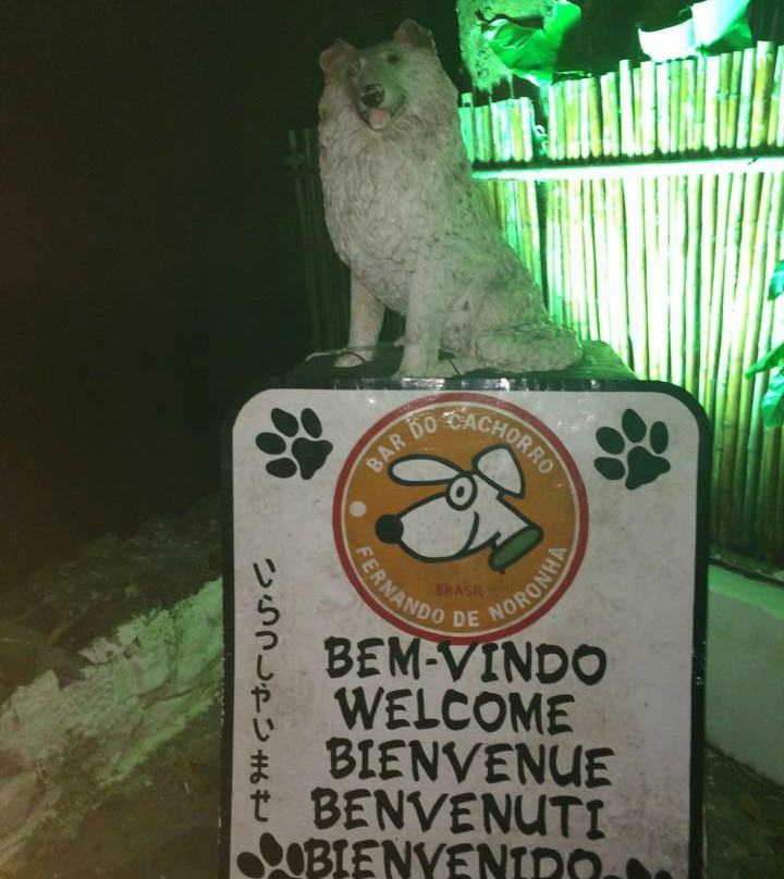 Bar do Cachorro-费尔南多-迪诺罗尼亚群岛必去景点