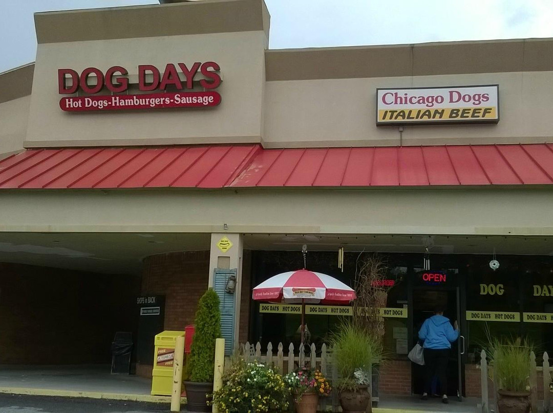 Dog Days Hot Dogs & Burgers